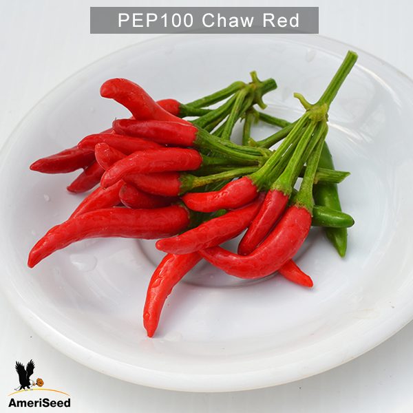 Chaw-Red-3