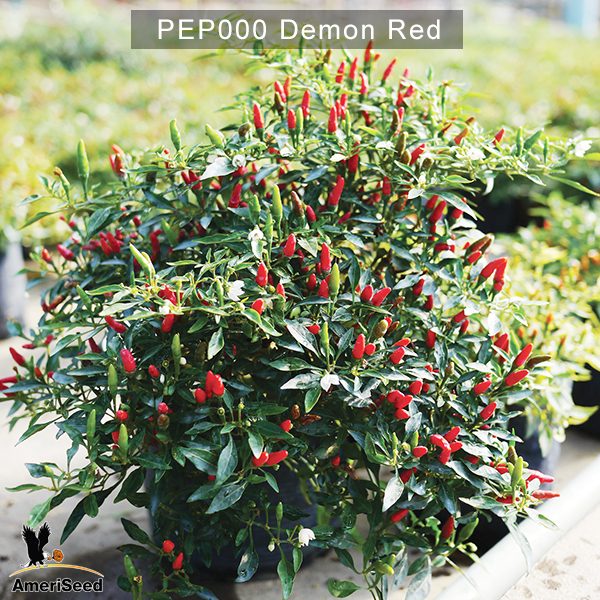 Demon-Red-1