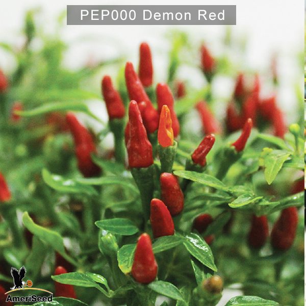 Demon-Red-2