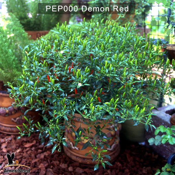 Demon-Red